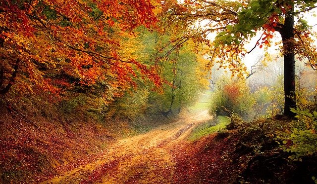 LinkedMeer-netwerkwandeling in de herfst